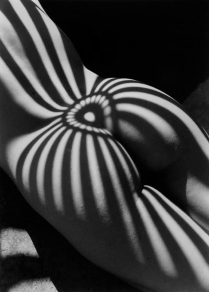 Cool shadow on a girl's body - NSFW, Sexuality, Girls, Erotic, Booty, Legs, Black and white photo, Helping animals, Animal shelter, The strength of the Peekaboo, No face