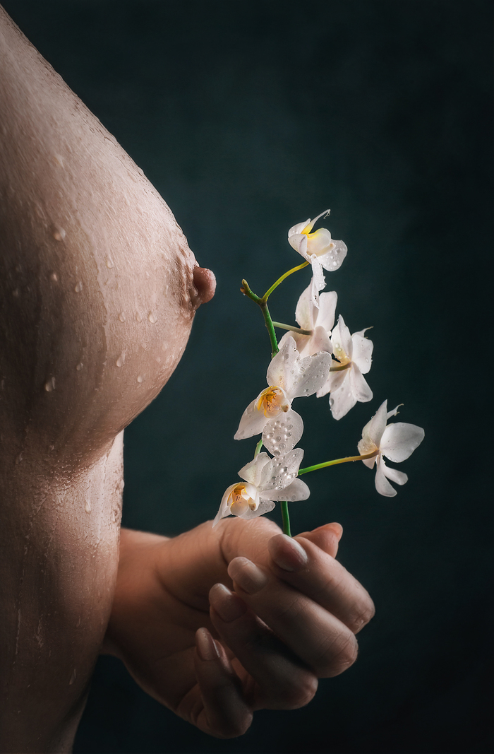 Beauty! - NSFW, Girls, Erotic, The photo, Portrait, No face, Flowers, Orchids, Wet, Boobs, Wet