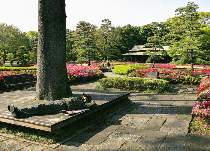 Don't Worry Be Happy - NSFW, The park, Men, The photo, Japan, Tokyo