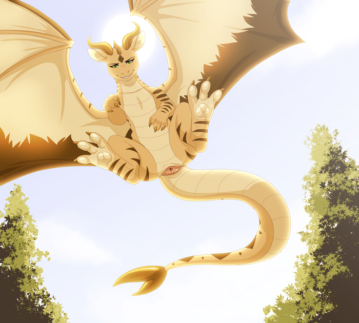 Danger from the sky... - NSFW, Art, The Dragon, Furotica, Furotica female, Cloaca, Digital drawing, Flight, Landing, Bottom view, Sky, Lawkie, Wings, Paws