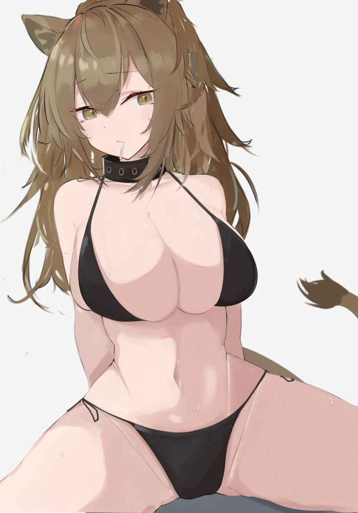 Siege - NSFW, Anime art, Anime, Arknights, Siege (Arknights), Animal ears, Swimsuit, Collar, Tail