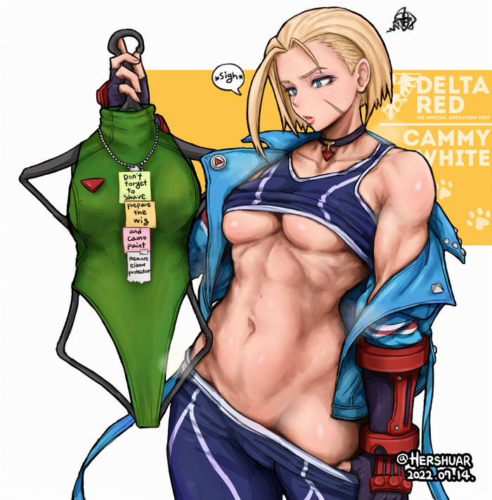 Cammy - NSFW, Anime, Anime art, Art, Girls, Cammy white, Games, Hand-drawn erotica, Boobs, Hershuar, Strong girl