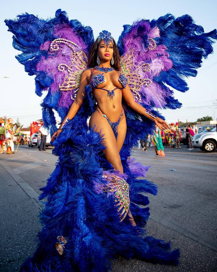 Carnival - NSFW, Girls, Erotic, Ebony, Carnival, Video, Longpost