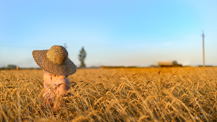 In the evening in the field - NSFW, My, Girls, Erotic, Colorful hair, Topless, PHOTOSESSION