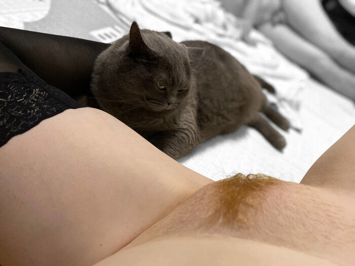 The best place - NSFW, My, Homemade, Pubes, Stockings, cat